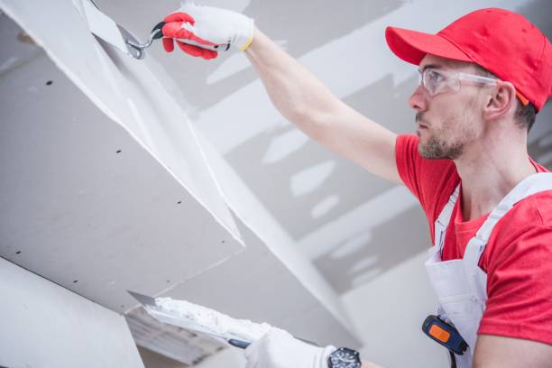 Best Drywall Removal and Disposal  in Belleair Beach, FL